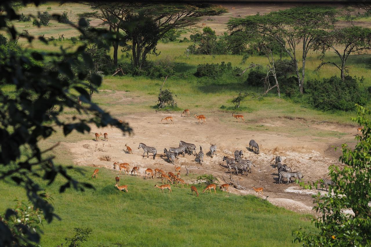 Hotel Saruni Eagle View Naboisho Esterno foto